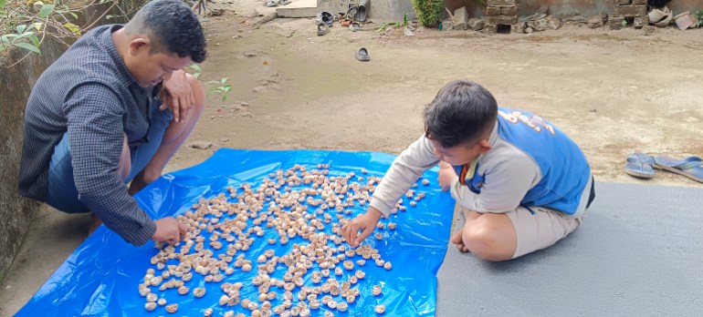 The sale of betel nuts is the primary source of livelihood in Totopara [Gurvinder Singh/Al Jazeera]