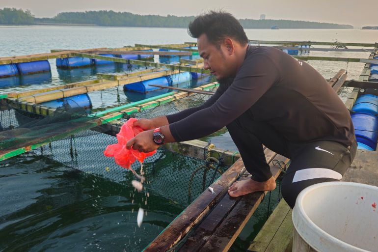 Ridhwan on the kelong. He is wearing a wetsuit and dropping fish feed into the cages for the fish