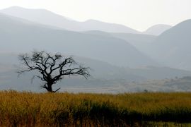 Eswatini&#039;s remote Lubombo region is covered with valleys and forests [File: Mike Hutchings/Reuters]