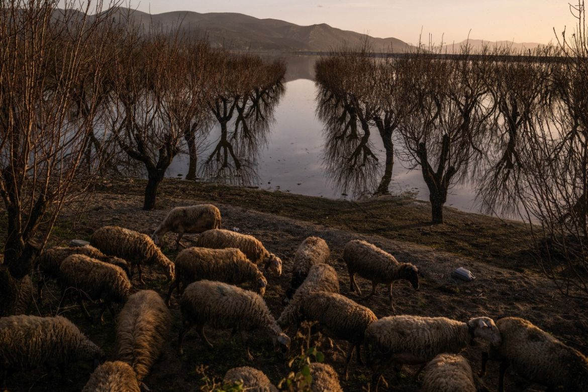 Greek valley that became a lake stirs drought debate