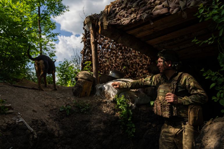 A Ukrainian soidier inside his dugout. He's looking at a passing dog. The dig out is concealed under camouflage netting. The soldier looks tired.